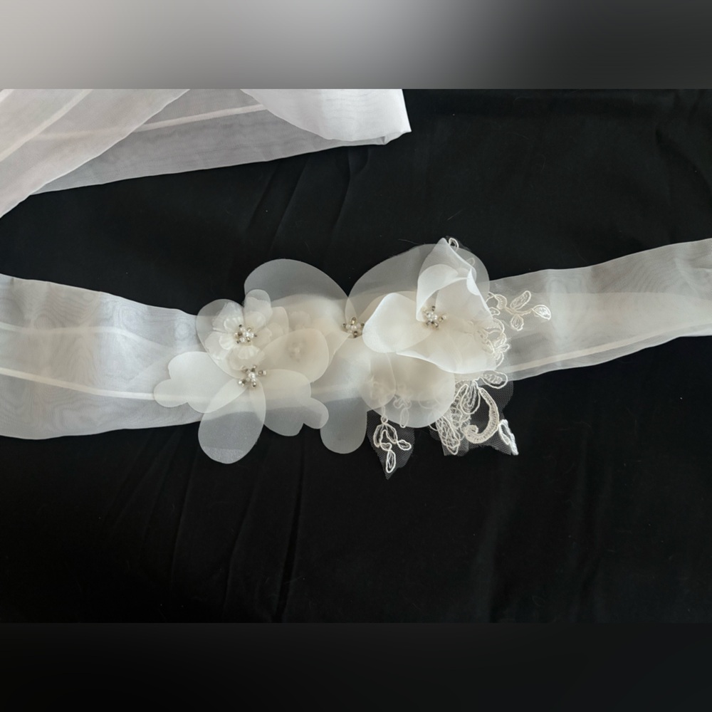 David's Bridal wedding sash/belt
